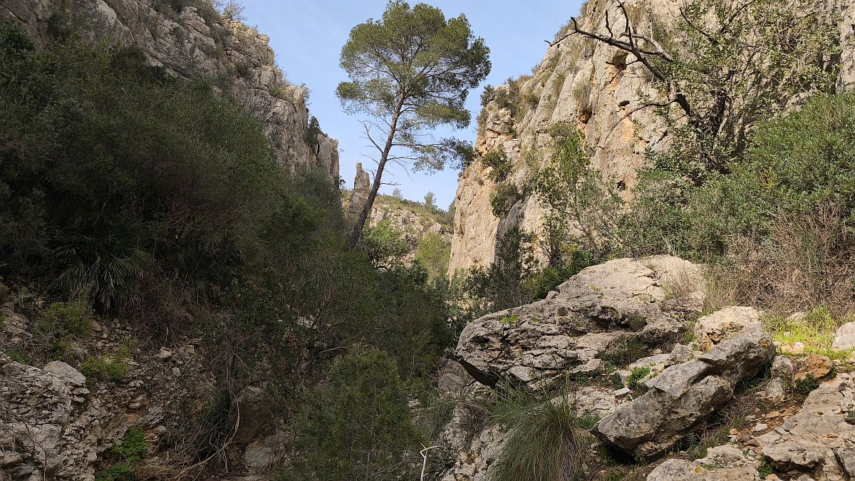 Kliknutm zavete okno.