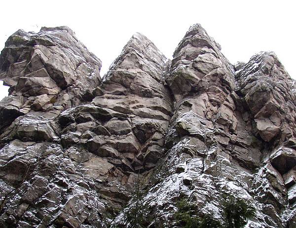 Čtyři palice