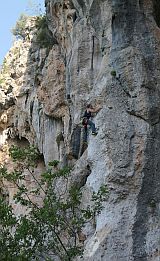 Trebenna West