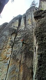 Cherubín