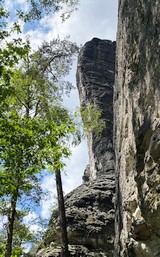 Westlicher Feldkopf