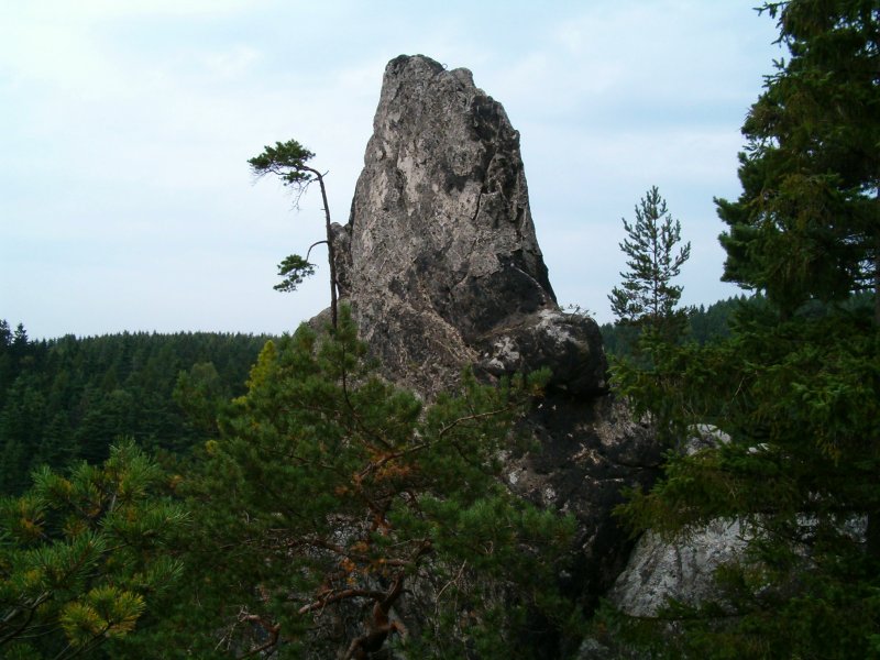 Kliknutm zavete okno.